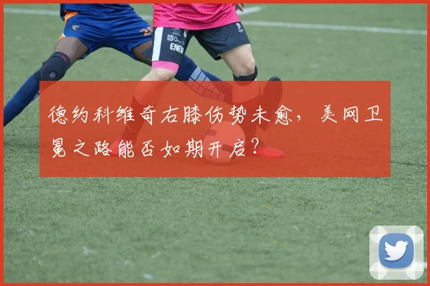 德约科维奇右膝伤势未愈，美网卫冕之路能否如期开启？